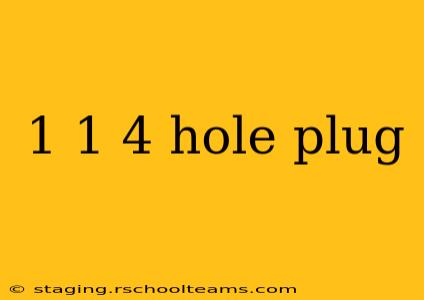 1 1 4 hole plug