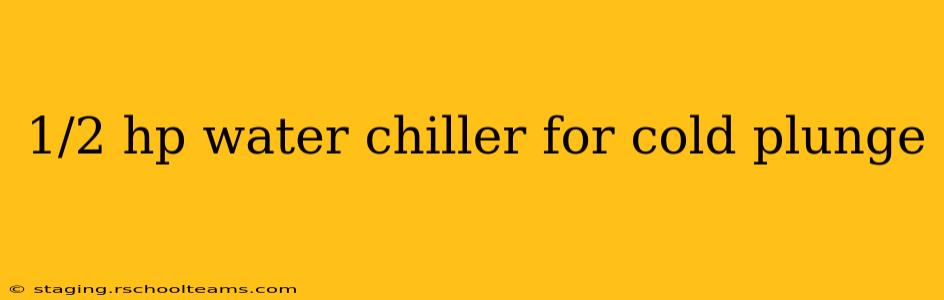 1/2 hp water chiller for cold plunge
