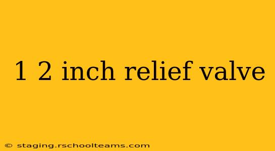 1 2 inch relief valve