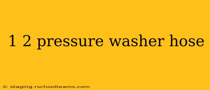 1 2 pressure washer hose