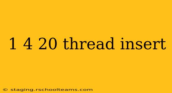 1 4 20 thread insert