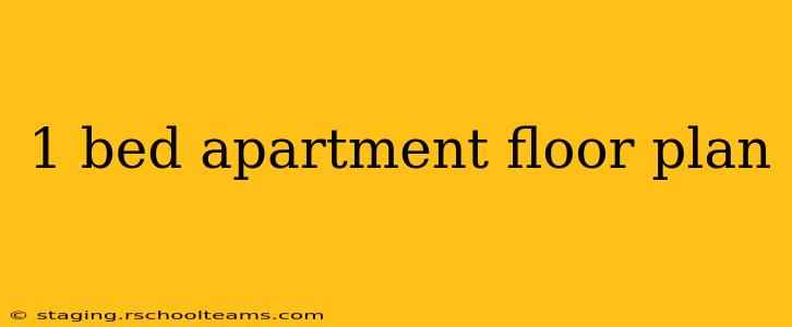1 bed apartment floor plan