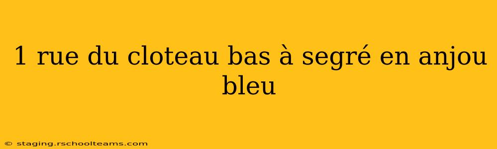 1 rue du cloteau bas à segré en anjou bleu