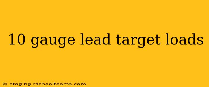 10 gauge lead target loads
