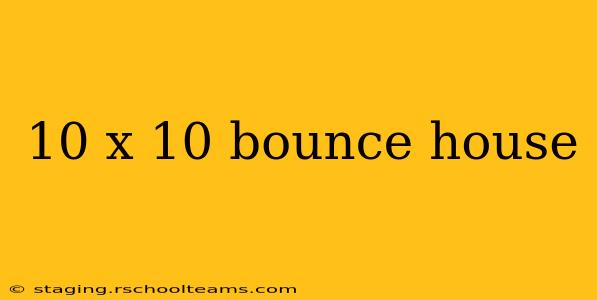 10 x 10 bounce house