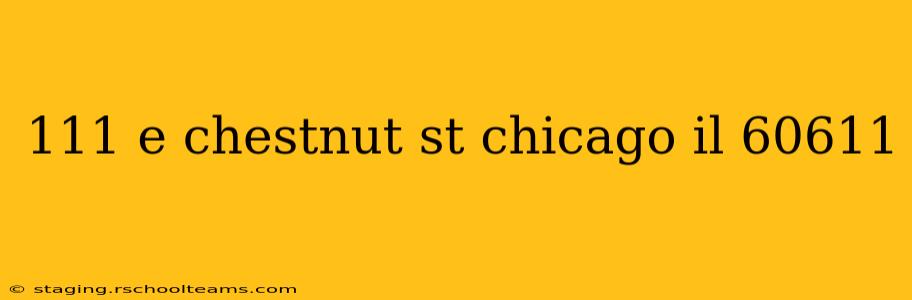 111 e chestnut st chicago il 60611