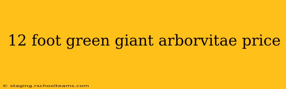 12 foot green giant arborvitae price