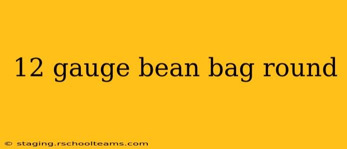12 gauge bean bag round