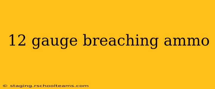 12 gauge breaching ammo