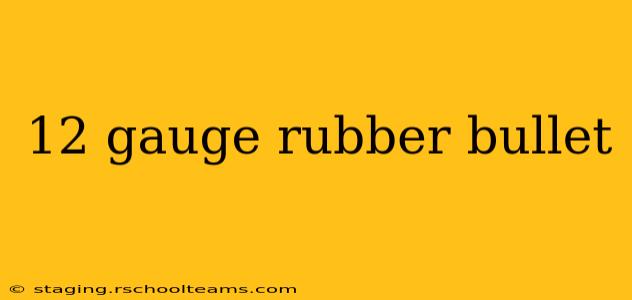 12 gauge rubber bullet