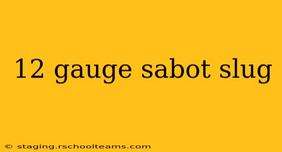 12 gauge sabot slug