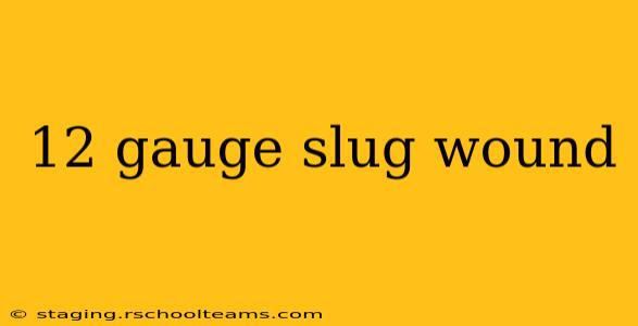 12 gauge slug wound
