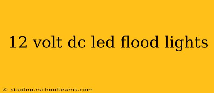 12 volt dc led flood lights