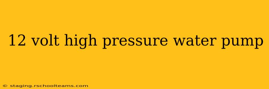 12 volt high pressure water pump