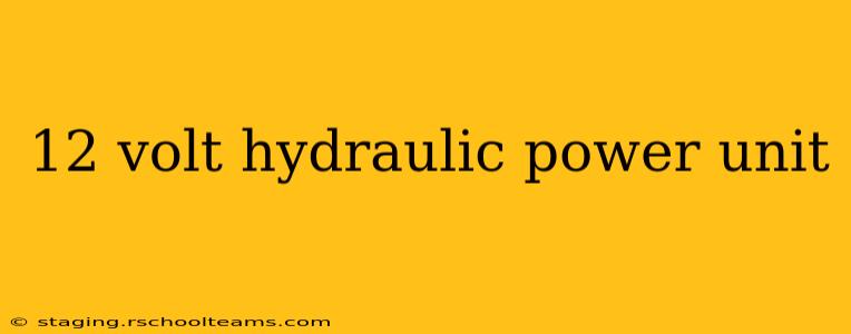 12 volt hydraulic power unit