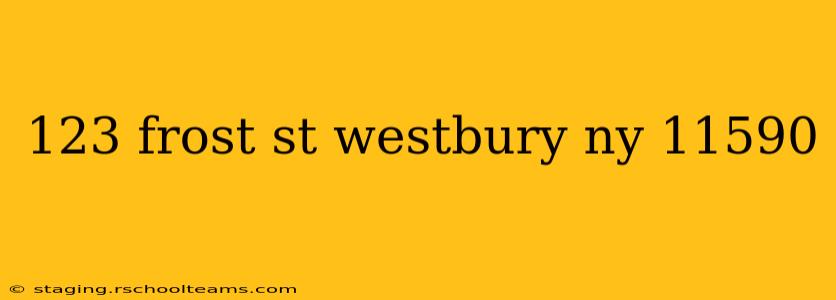 123 frost st westbury ny 11590