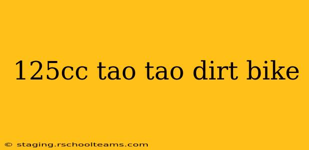 125cc tao tao dirt bike