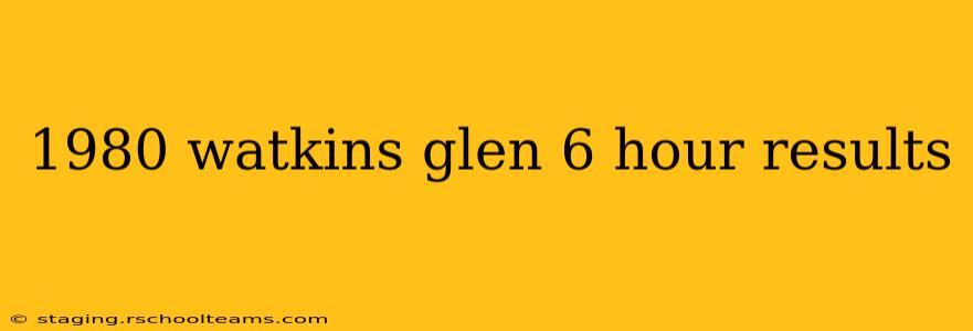 1980 watkins glen 6 hour results