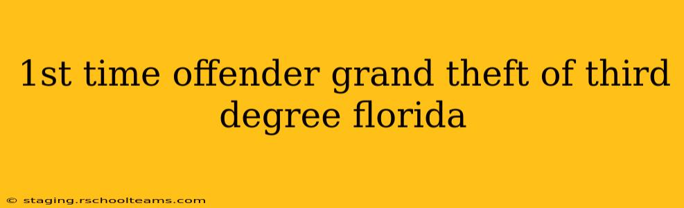 1st time offender grand theft of third degree florida