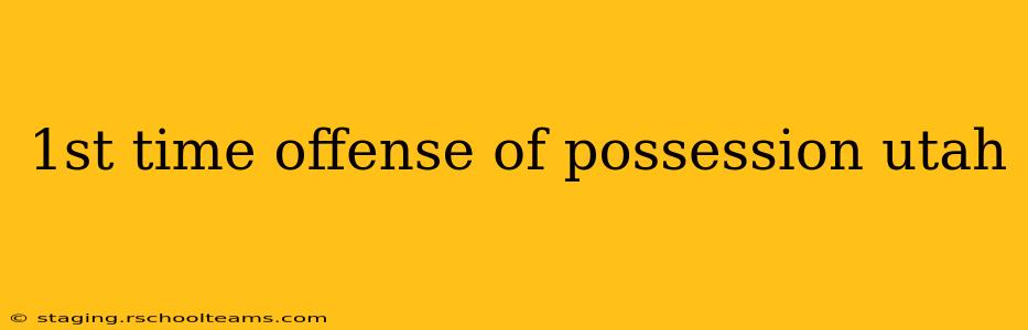 1st time offense of possession utah