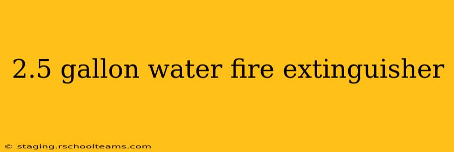2.5 gallon water fire extinguisher