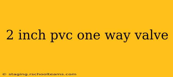2 inch pvc one way valve