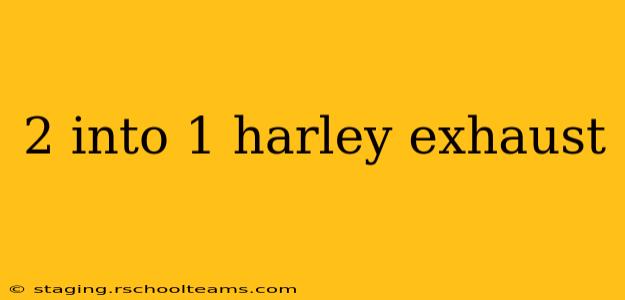 2 into 1 harley exhaust