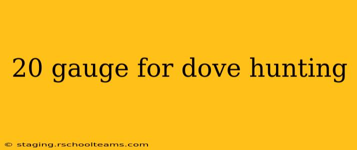 20 gauge for dove hunting
