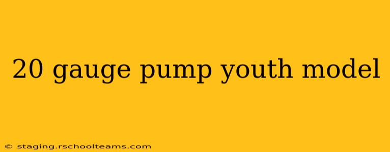 20 gauge pump youth model