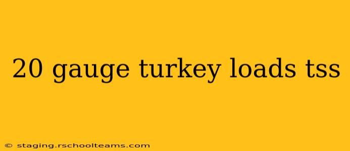 20 gauge turkey loads tss