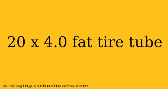 20 x 4.0 fat tire tube