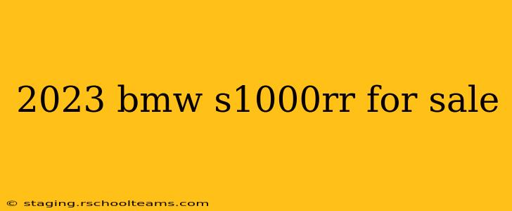 2023 bmw s1000rr for sale