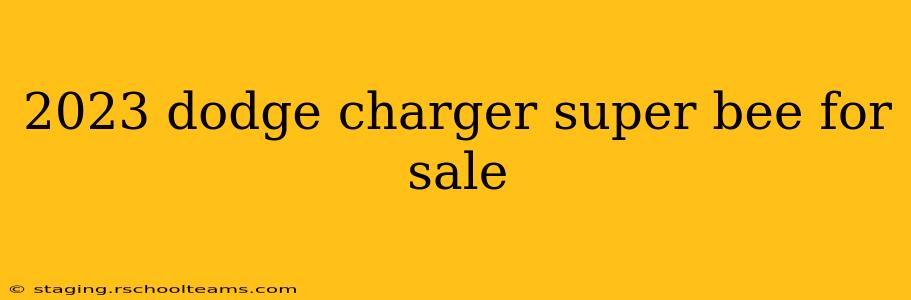 2023 dodge charger super bee for sale