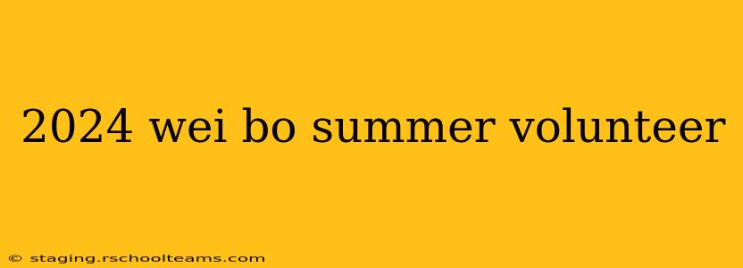 2024 wei bo summer volunteer