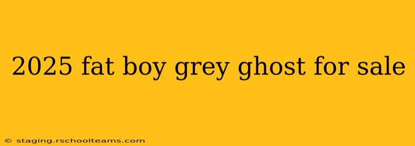 2025 fat boy grey ghost for sale
