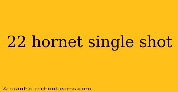 22 hornet single shot