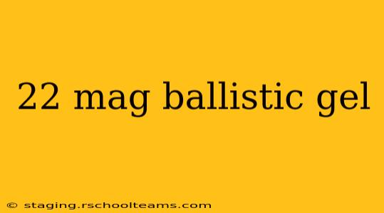 22 mag ballistic gel