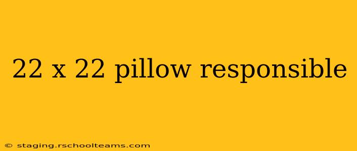 22 x 22 pillow responsible