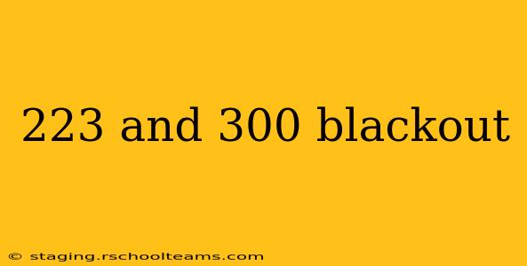 223 and 300 blackout