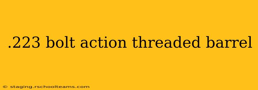 .223 bolt action threaded barrel