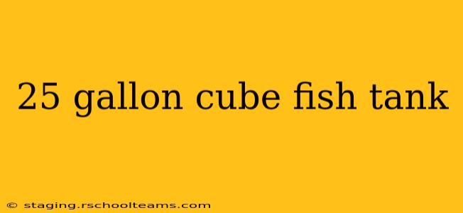 25 gallon cube fish tank