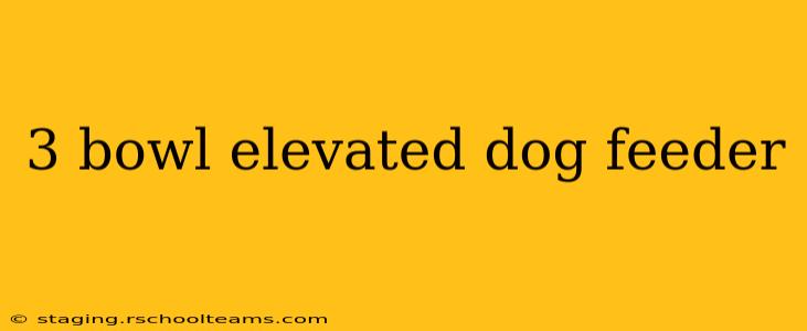 3 bowl elevated dog feeder