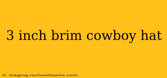 3 inch brim cowboy hat