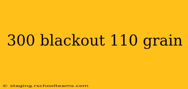 300 blackout 110 grain