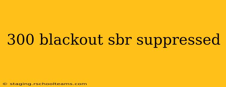 300 blackout sbr suppressed