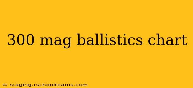 300 mag ballistics chart