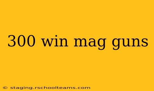 300 win mag guns