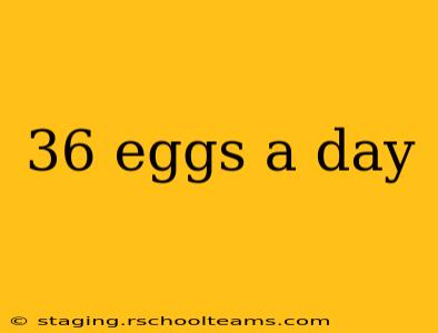 36 eggs a day