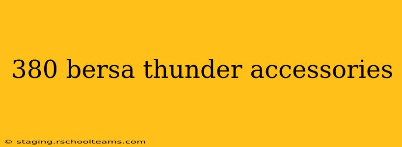 380 bersa thunder accessories