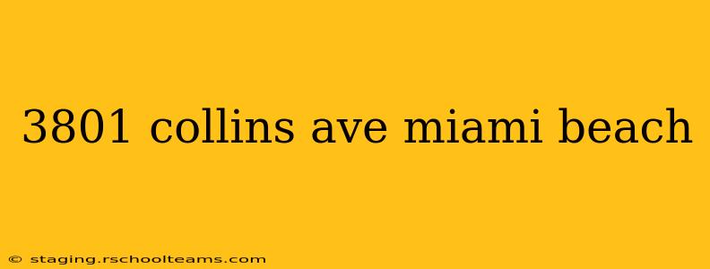 3801 collins ave miami beach